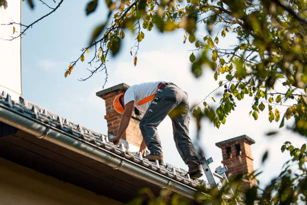Best Roof Restoration Services  in Farm Loop, AK