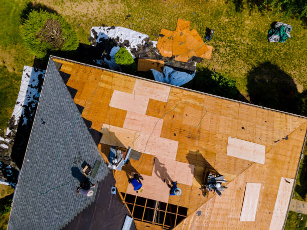 Best Roof Leak Repair  in Farm Loop, AK
