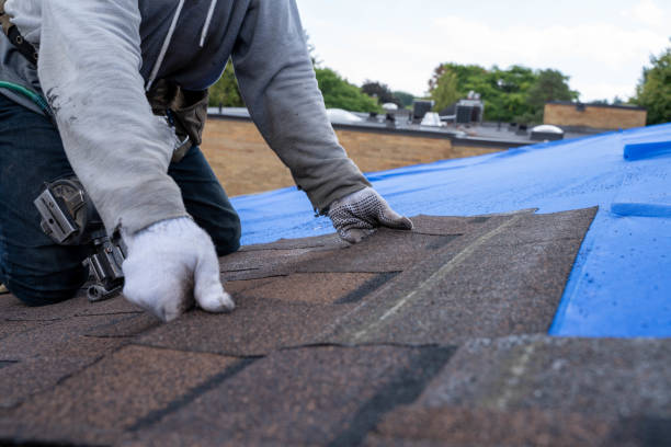 Best Emergency Roof Repair  in Farm Loop, AK