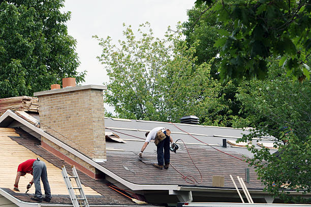 Best Metal Roofing Contractor  in Farm Loop, AK
