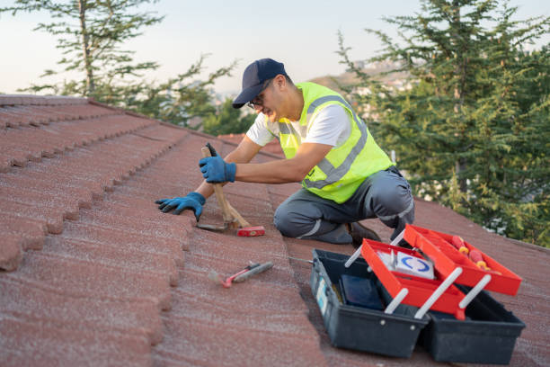 Best Roof Repair Specialists  in Farm Loop, AK
