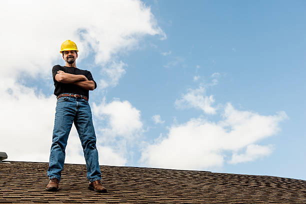 Best Roof Gutter Cleaning  in Farm Loop, AK