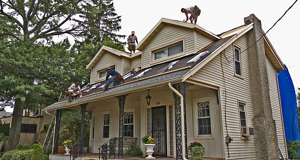 Best Roof Repair Services  in Farm Loop, AK