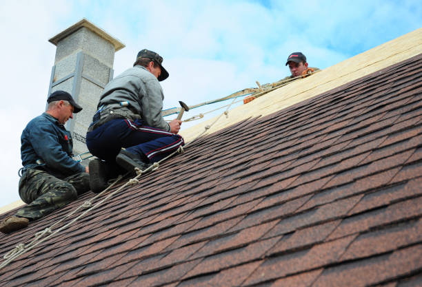 Best Emergency Roof Repair  in Farm Loop, AK