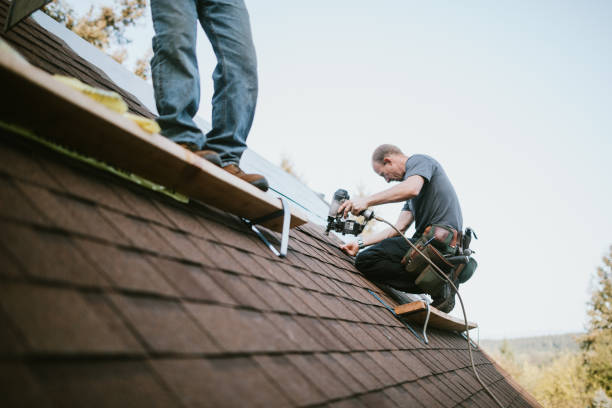Best Roof Maintenance Services  in Farm Loop, AK